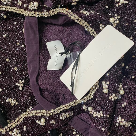 NWT Clio Peppiatt Wren Embellished Mini Dress - Jelly sz XXL - Picture 11 of 12